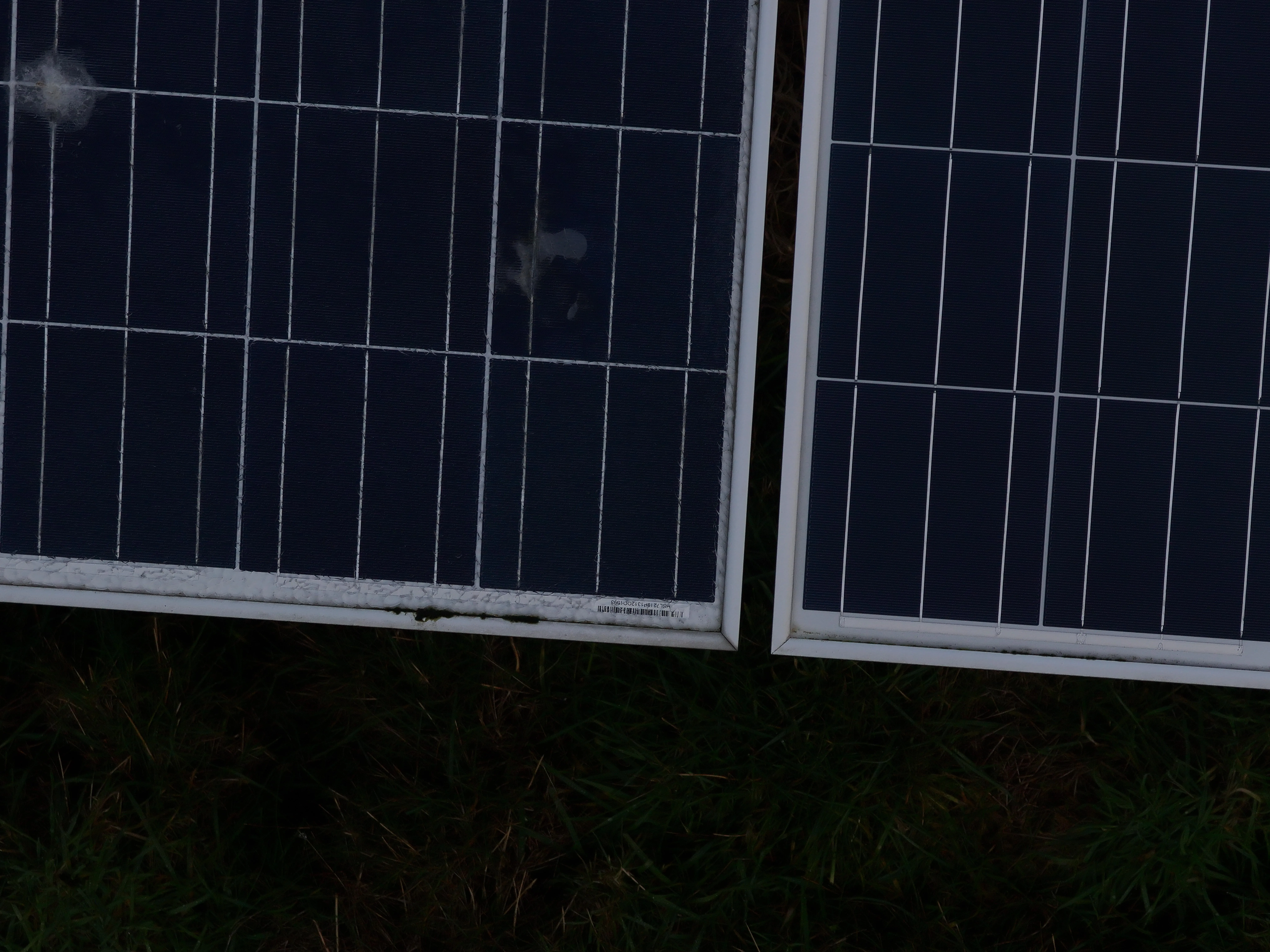 Serial number captured through cracked glass